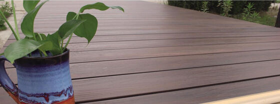 Decking compuesto tapado de coextrusión de WPC sólido al aire libre para jardín